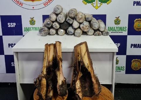 Trio é preso transportando drogas em mudas de bananeira no Amazonas