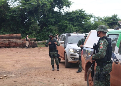 Em três meses, mais de 400 metros cúbicos de madeira foram apreendidos no Amazonas