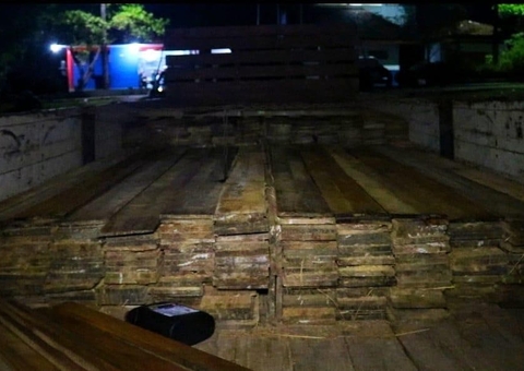 Avaliada em R$ 70 mil, madeira ilegal é apreendida em Manacapuru