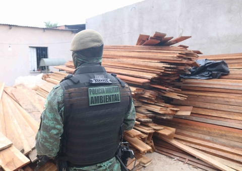 Madeira ilegal é apreendida na Comunidade dos Índios, em Manaus