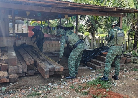 Polícia apreende 4 metros cúbicos de madeira ilegal em depósito no Amazonas