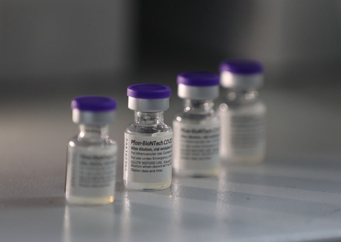 Amazonas recebe novo lote com mais de 17 mil doses da Pfizer 