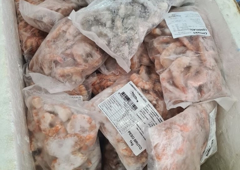 Operação apreende quatro toneladas de pescado em Manaus