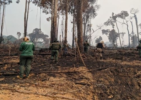Mais de R$ 8 milhões em multas por crimes ambientais já foram aplicados no Amazonas