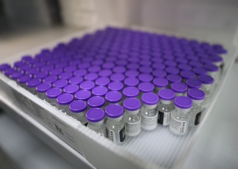 Amazonas recebe mais de 70 mil doses da Pfizer nesta sexta 