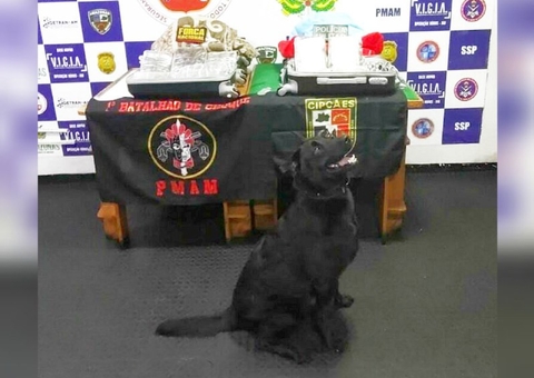 Cão policial encontra 10 quilos de drogas escondidas com adolescente no Amazonas