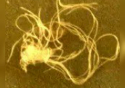 Nasa descobre objeto misterioso em Marte e intriga observadores do espaço