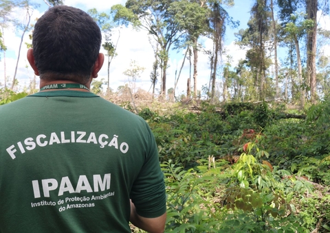 Operação Tamoiotatá reforça ações de combate ao desmatamento no Amazonas