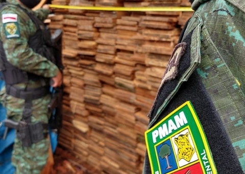 Madeira ilegal vendida em material de construção é apreendida em Manaus 