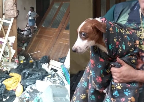 Cachorros são resgatados de casa repleta de lixo e animais mortos em Manaus; Vídeos