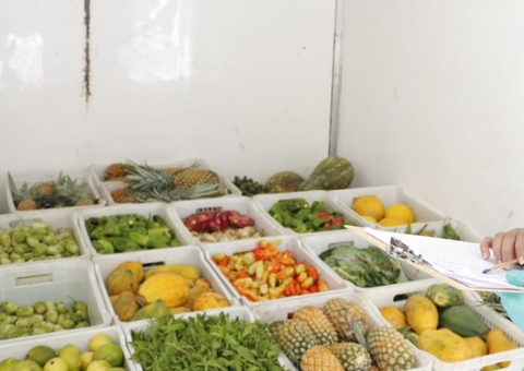 Aldeia Tupinambá em Manaus recebe doação de 1 tonelada de alimentos 