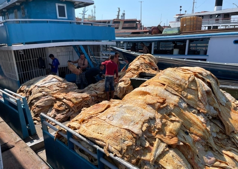 Homem é preso com 20 toneladas de pescado ilegal em Iranduba, no Amazonas