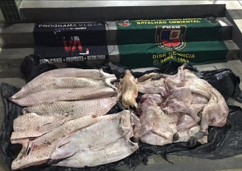 Carnes ilegais avaliadas em R$ 10 mil são apreendidas em Manaus
