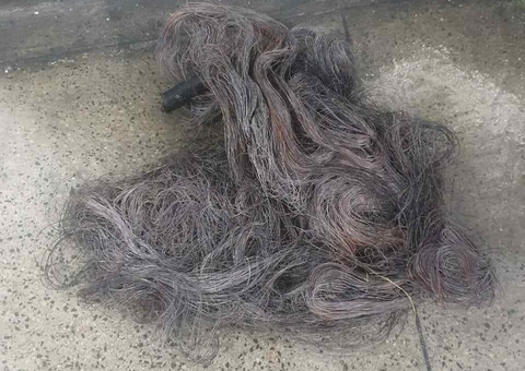 Homem é preso por furtar cabos telefônicos em Manaus 