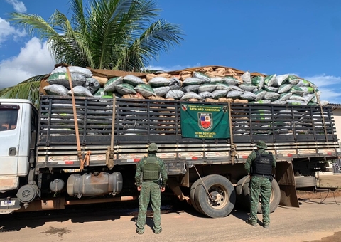 Batalhão Ambiental apreende 10 toneladas de carvão ilegal em Humaitá