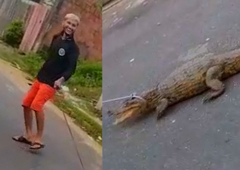 Vídeo: Jovem arrasta jacaré com corda no pescoço por rua de Manaus