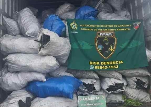 Caminhão com carvão vegetal ilegal é apreendido na AM-010 