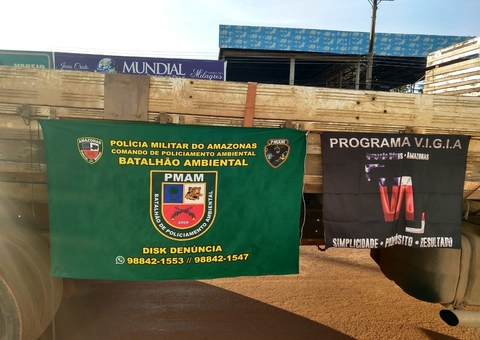 Caminhões com 35 metros cúbicos de madeira ilegal são apreendidos na AM-070