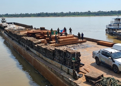 Madeira ilegal é apreendida em balsa no interior do Amazonas
