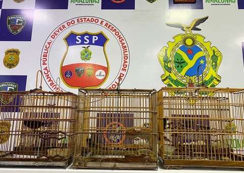 Pássaros silvestres são apreendidos em Manaus em barco vindo do Acre 