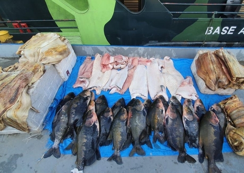 Mais de 700 quilos de pescado ilegal são apreendidos em barco no Amazonas