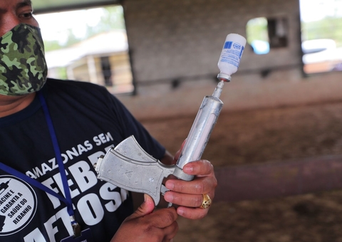 Vacinação contra Febre Aftosa tem inicio no Amazonas