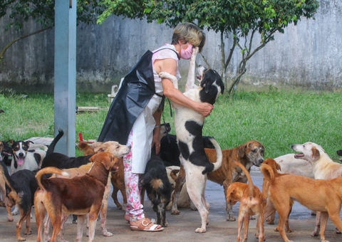 Protetores de animais recebem 15 toneladas de ração no Amazonas