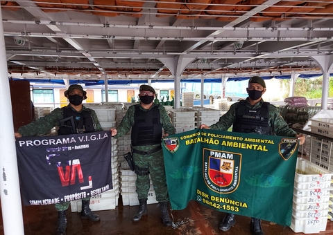 Mais de 7 mil peixes ilegais são apreendidos em porto de Manaus