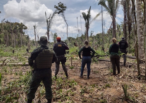 Com motosserras, trio é preso suspeito de crime ambiental no Amazonas