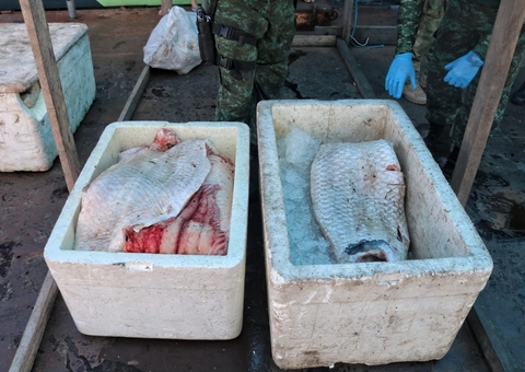 Mais de meia tonelada de pirarucu ilegal é apreendida no Rio Solimões