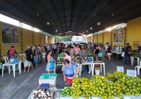 Feira da ADS retorna para antigo endereço no Petrópolis neste sábado 