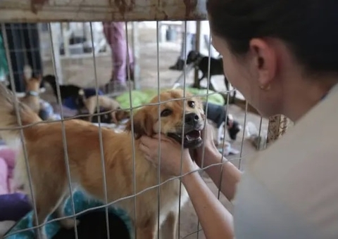 AM tem processo seletivo para protetores de animais receberem ração grátis