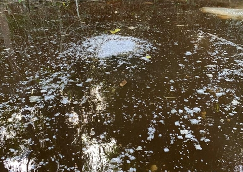 Fábrica é multada em R$ 330 mil por despejo irregular em lago, em Manaus