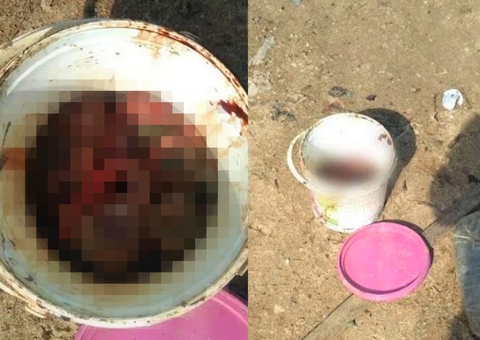 Dois fetos são encontrados dentro de balde em praia de Manaus