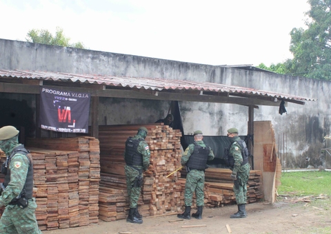 Madeira ilegal, avaliada em R$ 25 mil, é apreendida em Manaus