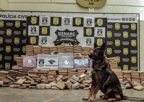 Droga avaliada em R$ 6 milhões é encontrada em caixa de gelo no Amazonas