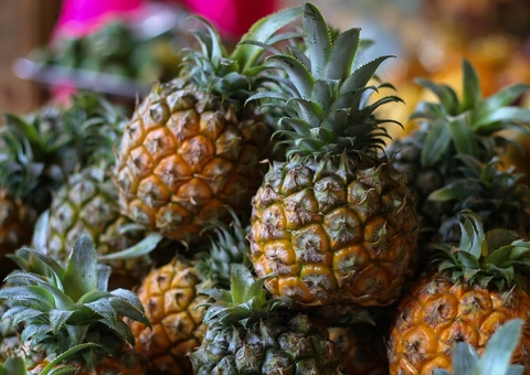 4 alimentos que podem te ajudar a combater à celulite