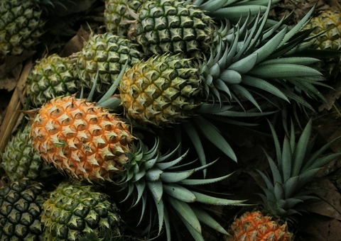 Cinco alimentos baixos em calorias e ricos em nutrientes que você vai amar