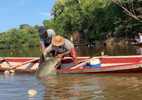 Idam realiza Workshop para Extensionistas Rurais do Amazonas