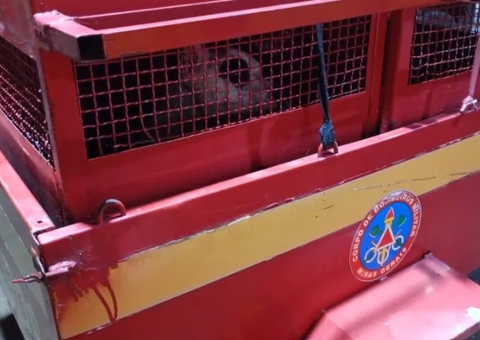 Mãe e filha de 3 anos são atacadas por pitbull recém-adotado em Minas Gerais