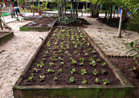 Parque do Mindu em Manaus ganha viveiro de plantas medicinais