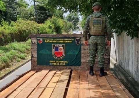 Caminhão é apreendido com 15 metros cúbicos de madeira ilegal em Manaus