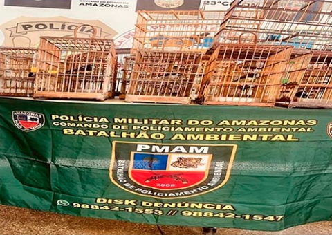 Homem é preso ao ser flagrado com 16 aves silvestres em Manaus