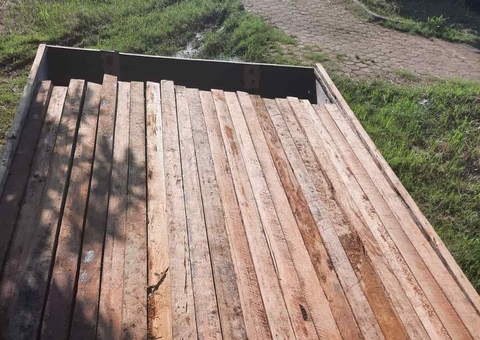 Dupla transporta madeira ilegal e é detida pela Polícia Militar na AM-070