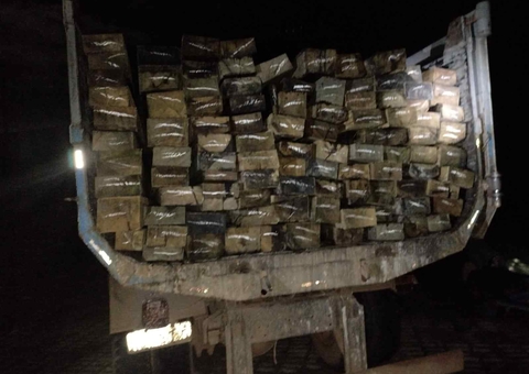 8 metros cúbicos de madeira ilegal são apreendidos na AM-070 