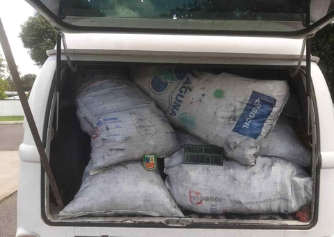 Carga de carvão ilegal é apreendida em kombi na AM-010