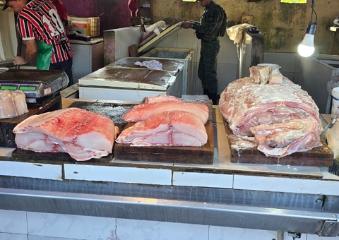 PM apreende 400 Kg de pirarucu ilegal e quelônios em feira de Manacapuru