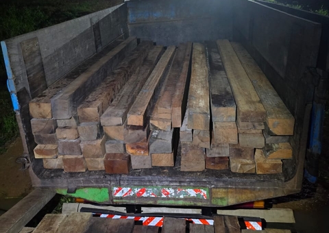 Dupla é presa ao ser flagrada transportado madeira ilegal em Manacapuru