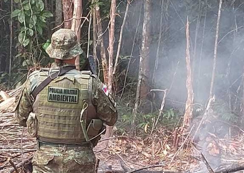 Casal é preso por invadir e incendiar terreno em ramal na AM-010