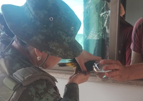 Polícia resgata pássaros feridos no Tarumã e Santo Antônio